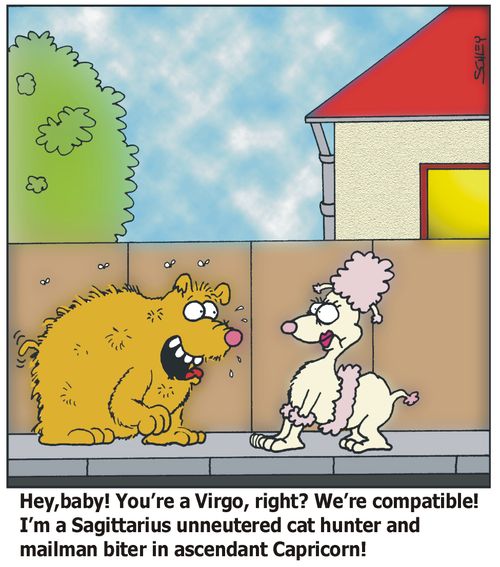 'Hey, baby! You're a Virgo, right? We're compatible! I'm a Sagittarius unneutered cat hunter and mailman biter in ascendant Capricorn'!