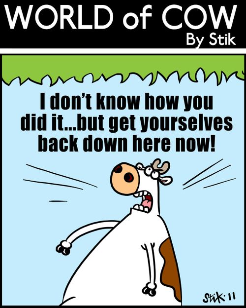 'I don't know how you did it...but get yourselves back down here now!'