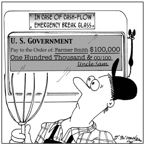 In Case of Cash-Flow Emergency Break Glass.