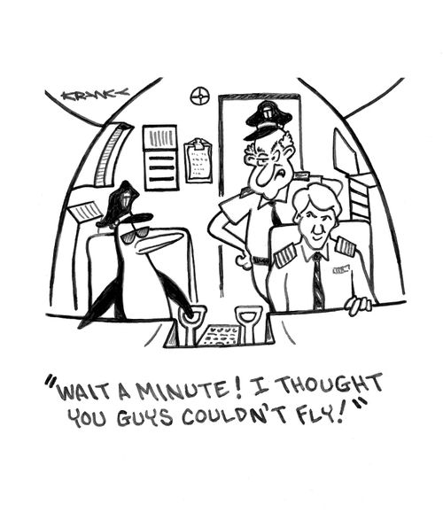 'Wait a minute! I thought you guys couldn't fly!'