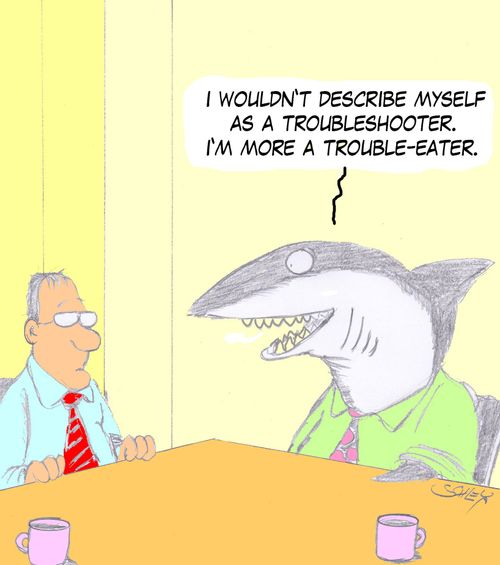'I wouldn't describe myself as a troubleshooter. I'm more a trouble-eater.'