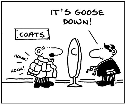 'It's goose down.'