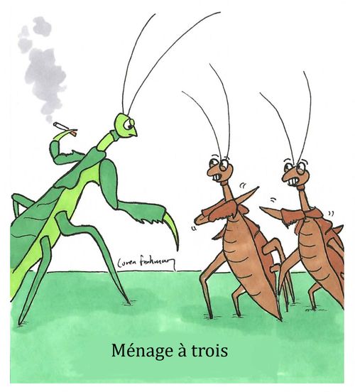 Menage a trois