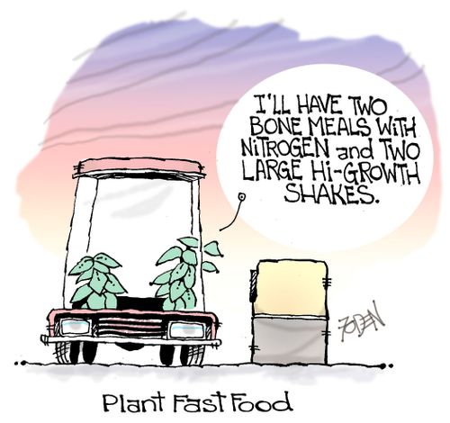 Plant Fast Food.