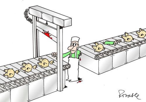 Accident in the Chicken Factory