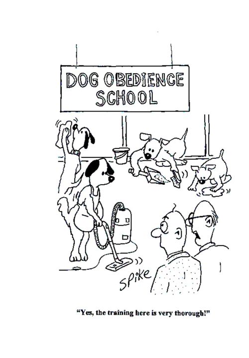 'Yes, the training here is very thorough!'