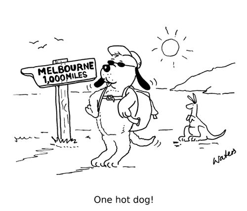 One hot dog!