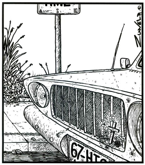 A bug memorial on car grill.