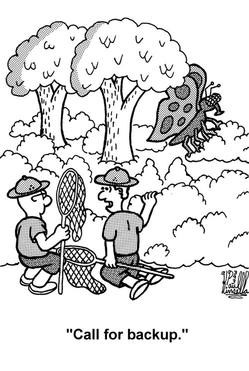 'Call for backup.' (butterfly collectors)
