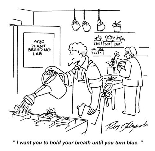 'I want you to hold your breath until you turn blue.'
