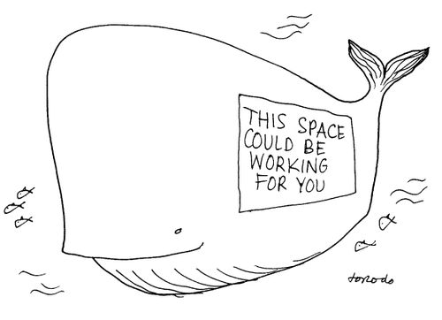 Whale Advertising Space