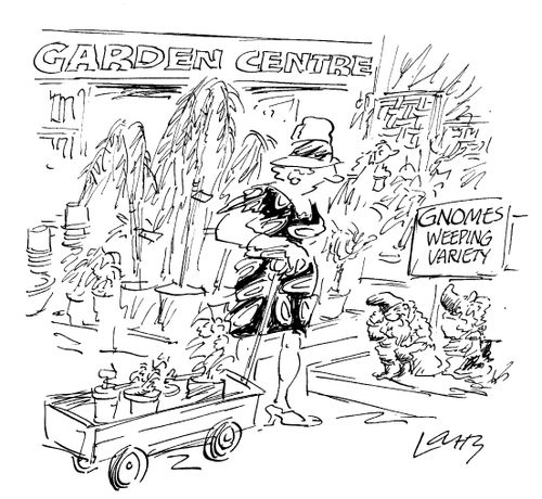 Gnomes Weeping Variety