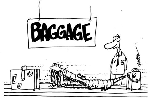 Man eaten by own Alligator skin bag.