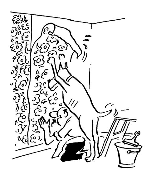Man's best friend