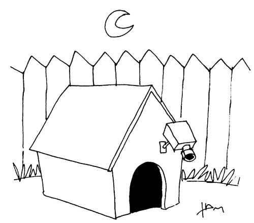 Kennel security
