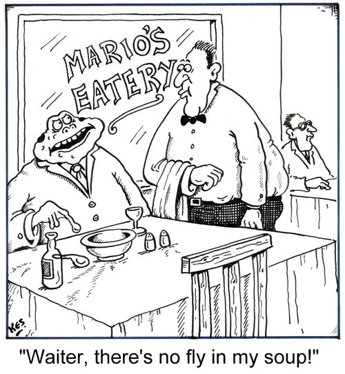"Waiter, there's no fly in my soup!"
