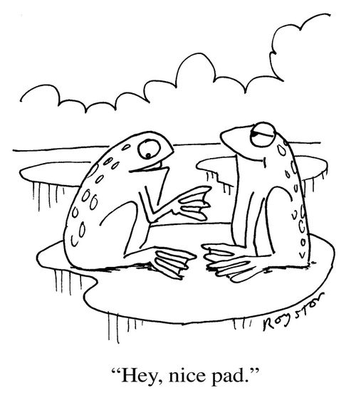 Frog to other frog: 'Hey, nice pad.'