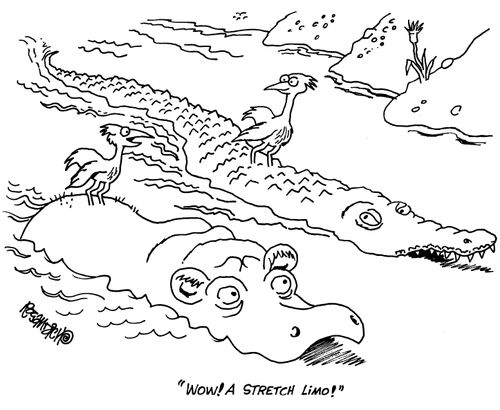 'Wow! a stretch limo!'