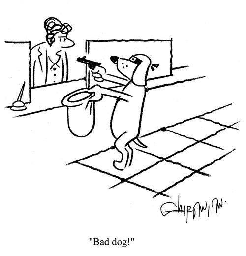 'Bad dog!'