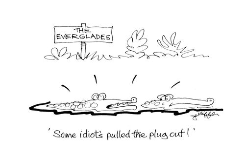 'Some idiot's pulled the plug out!'