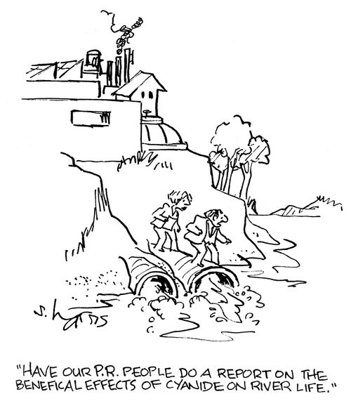 Have our P.R. people do a report on the beneficial effects of cyanide on river life.