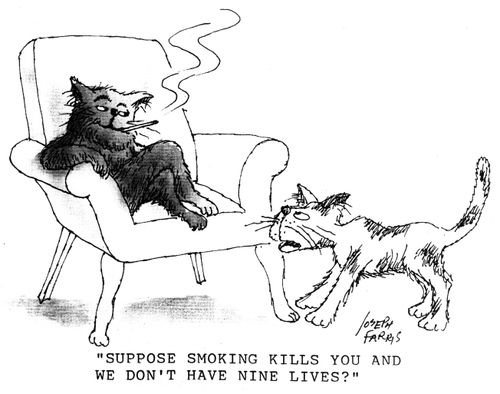 'Suppose smoking kills you and we don't have nine lives?'