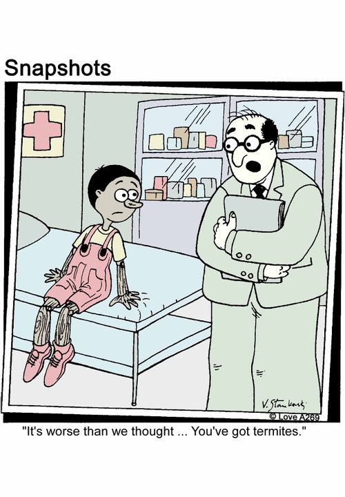 'It's worse than we thought... You've got termites.'
