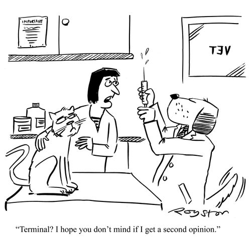 Dog, dressed as vet, is about to give cat lethal injection. Cat owner says: 'Terminal? I hope you don't mind if I get a second opinion.'