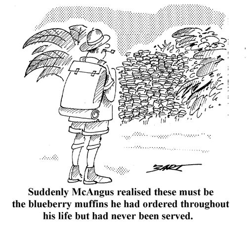 Suddenly McAngus realised these must be the blueberry muffins he had ordered throughout his life but had never been served.