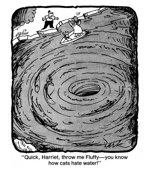 'Quick, Harriet, throw me Fluffy - You know how cats hate water!'