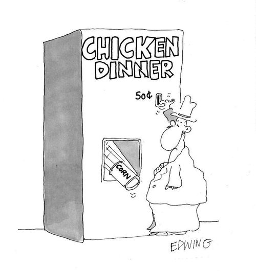 Chicken dinner.