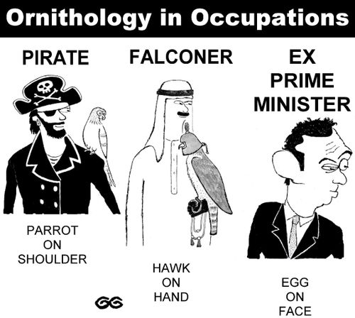 Ornithology in Occupations - parrot on shoulder/hawk on hand /egg on face.