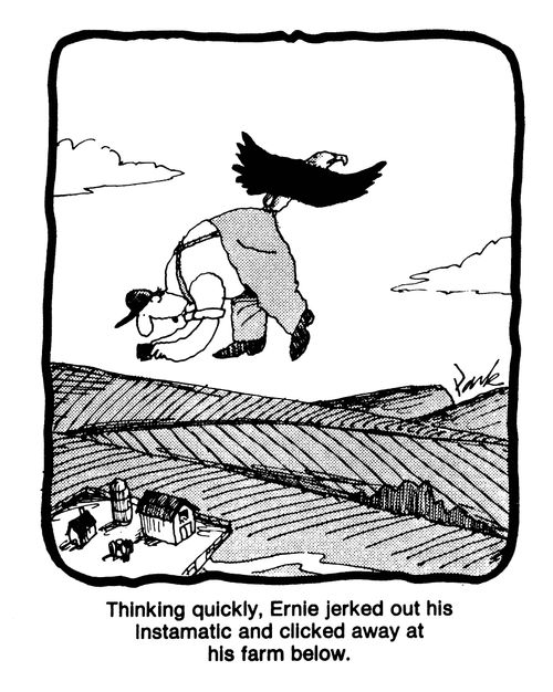 'Thinking quickly, Ernie jerked out his instamatic and clicked away at his farm below.'