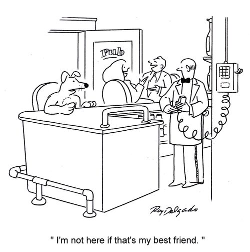 'I'm not here if that's my best friend.'