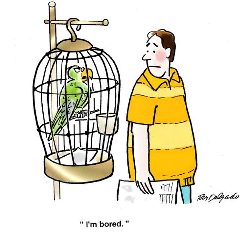'I'm bored.'