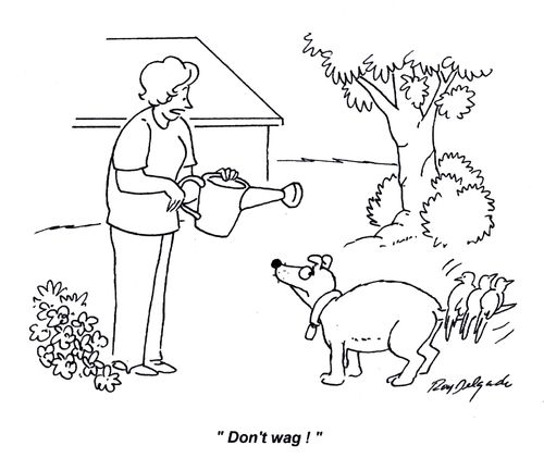 'Don't wag!'