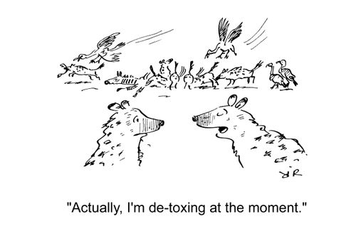 'Actually, I'm de-toxing at the moment.'