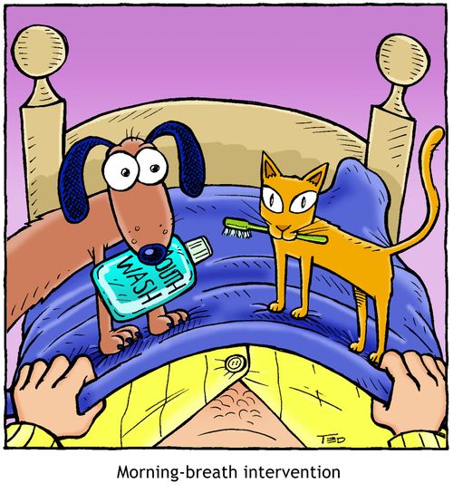 Morning-breath intervention 