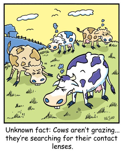 'Unknown fact: Cows aren't grazing...they're searching for their contact lenses.'