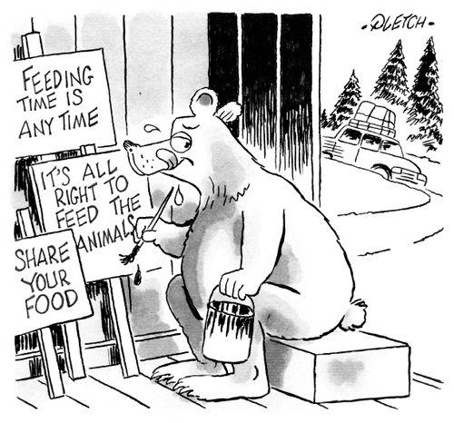 Bear painting signs encouraging people to feed the animals.