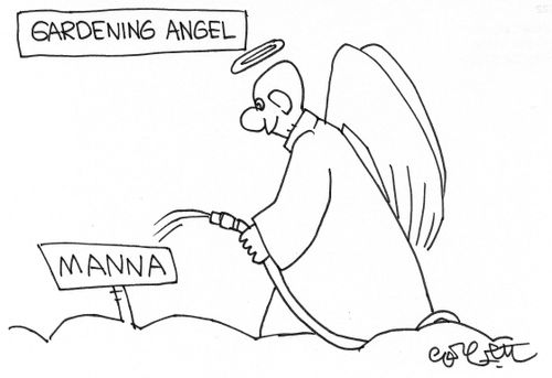 Gardening Angel.