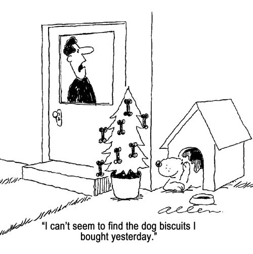 'I can't seem to find the dog biscuits I bought yesterday!'