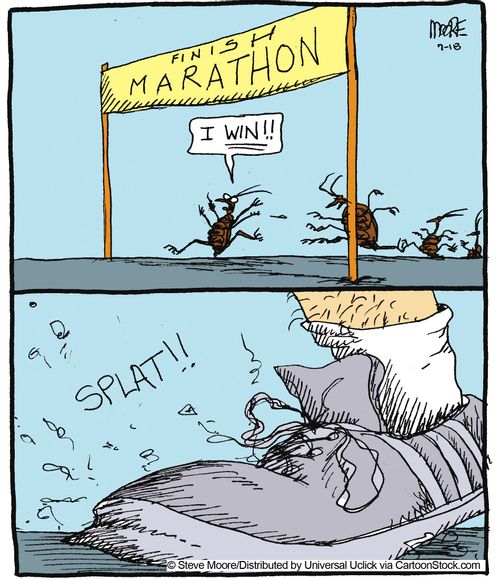 Marathon winners.