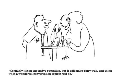"Certainly it's an expensive operation but it will make Taffy well..."
