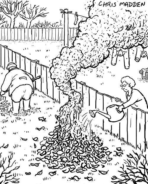 Gardening - burning autumn leaves