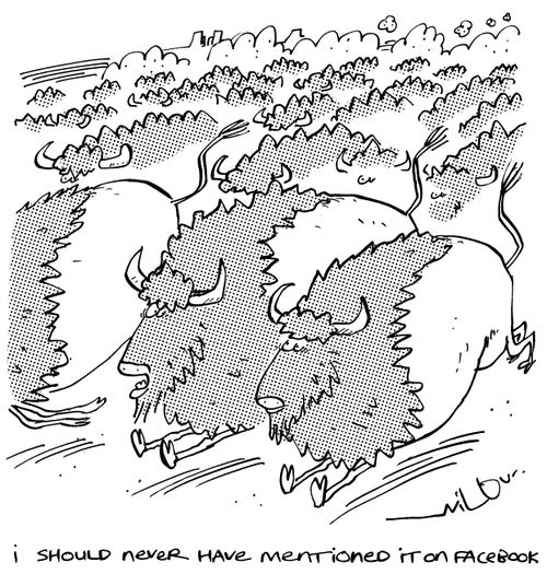 'I should never have mentioned it on facebook.'