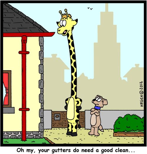 'Oh my, your gutters do need a good clean...'