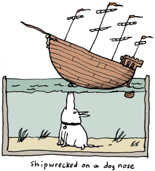 Shipwrecked on a dog nose.