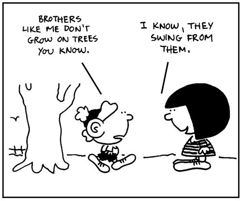 'Brothers like me don't grow on trees you know.'