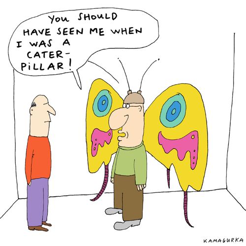 'You should have seen me when I was a caterpillar!'